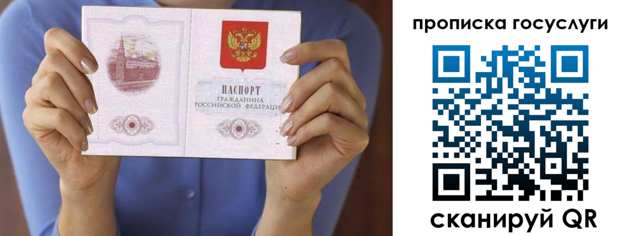 временная регистрация поиск в Брянске